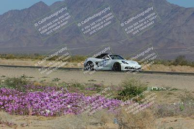 media/Jan-29-2023-PCA San Diego (Sun) [[aa0301ccc2]]/Yellow Group/Session 1 (Turn 15 Bloom)/